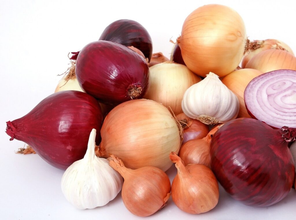 Why Are Onions and Garlic Natural Antibiotics?