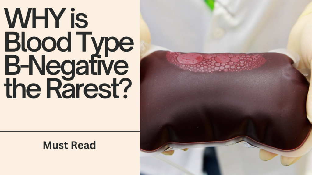 WHY is Blood Type B-Negative the Rarest?